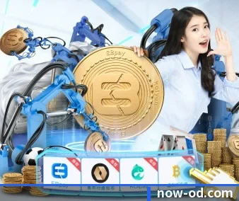 全流程赛事陪伴, 观赛有据可依